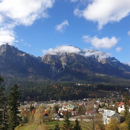 Vila Alunis Buşteni Exteriér fotografie