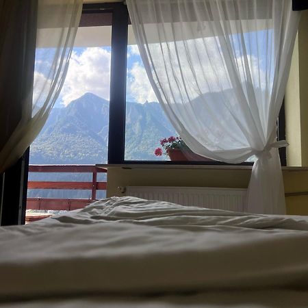 Vila Alunis Buşteni Exteriér fotografie
