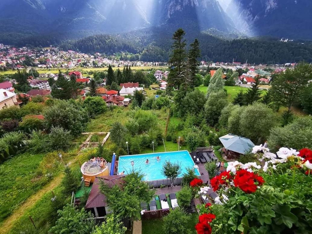 Vila Alunis Buşteni Exteriér fotografie