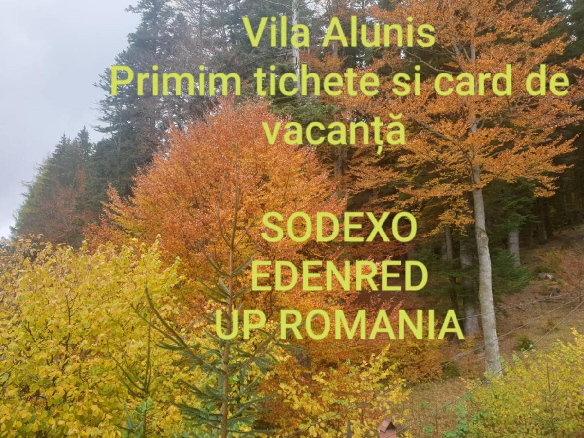 Vila Alunis Buşteni Exteriér fotografie