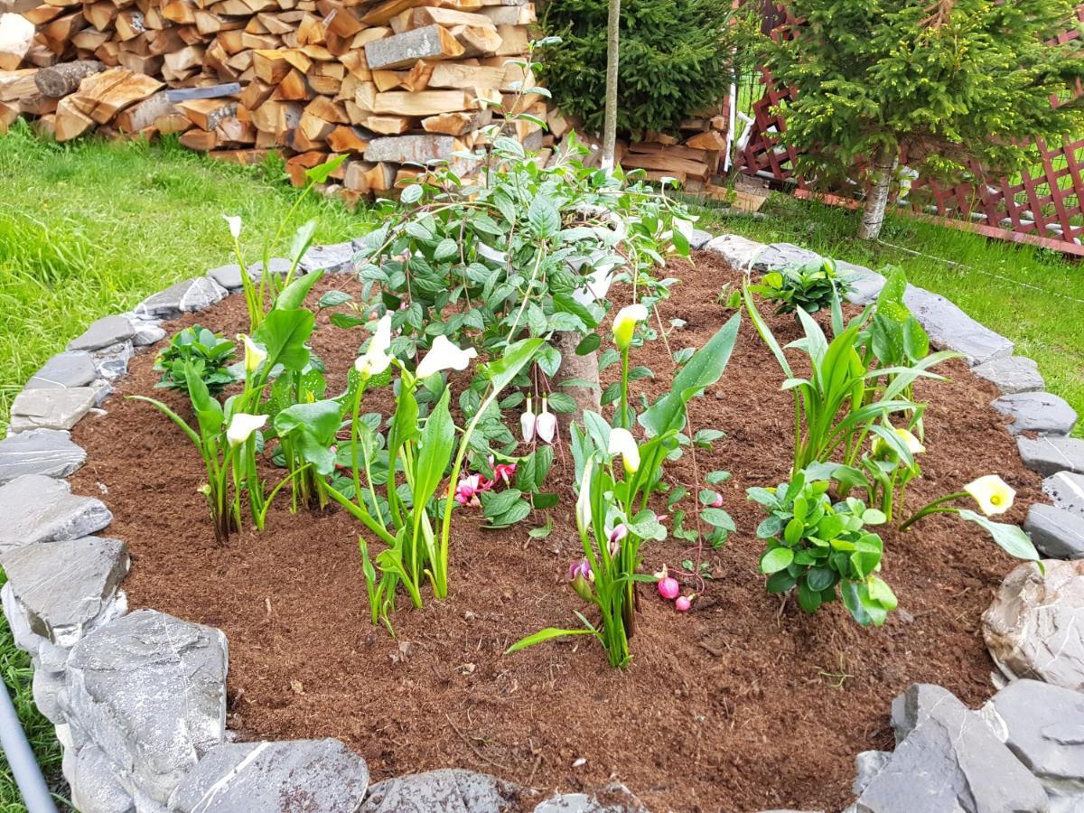 Vila Alunis Buşteni Exteriér fotografie
