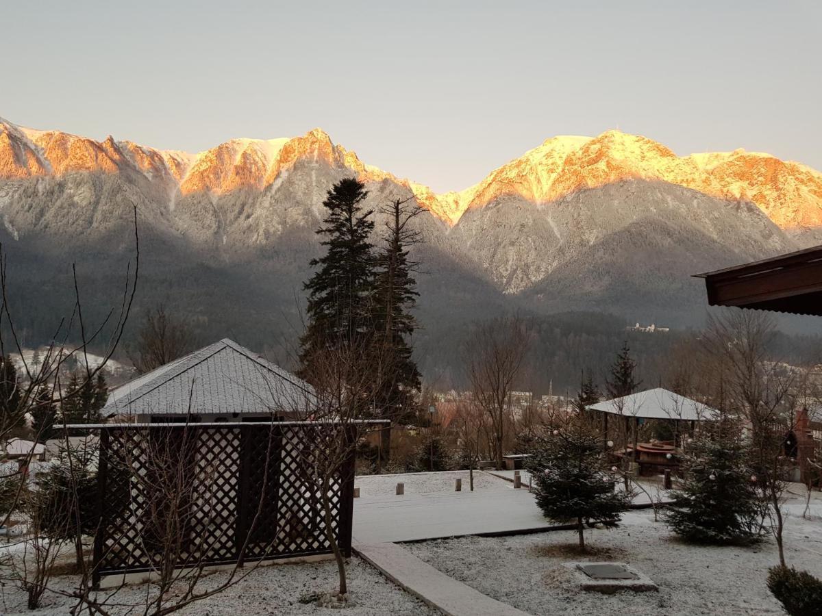 Vila Alunis Buşteni Exteriér fotografie