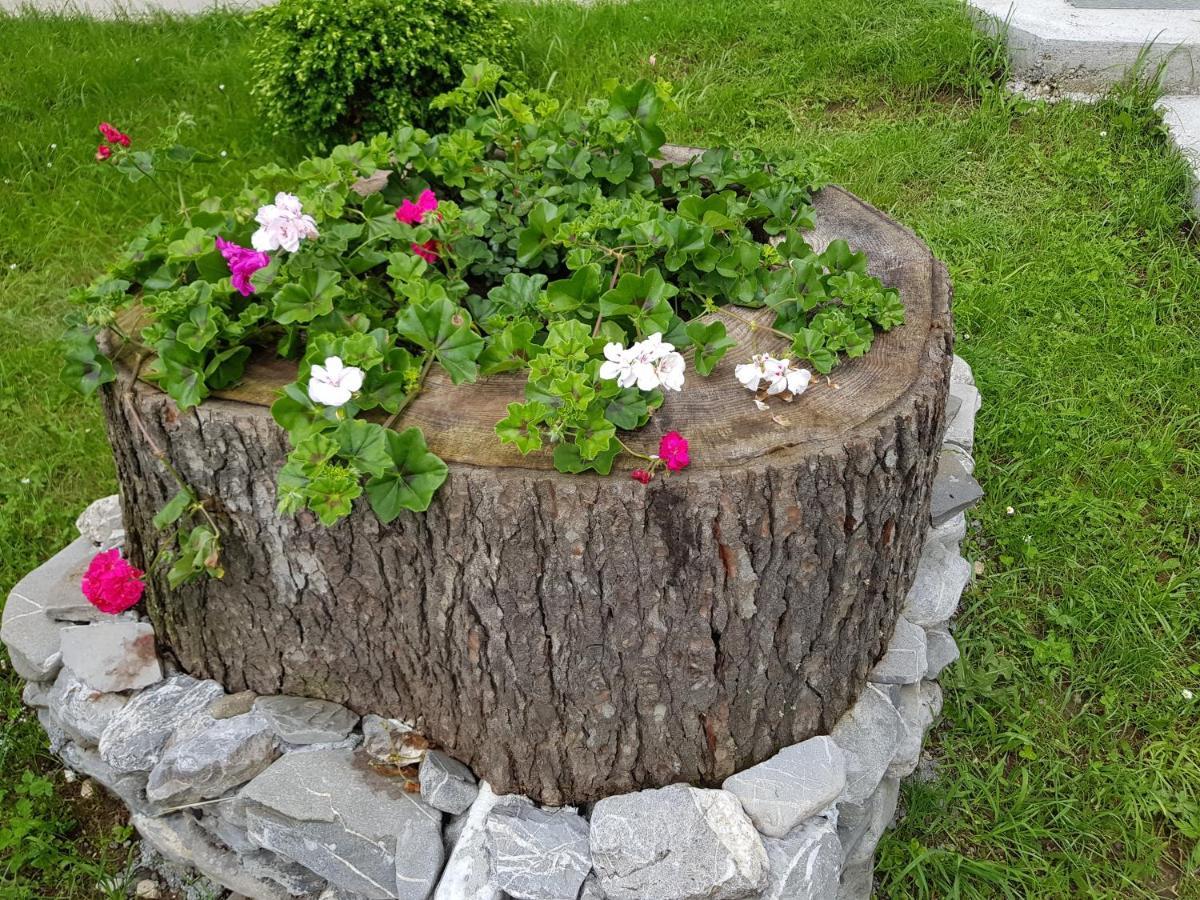 Vila Alunis Buşteni Exteriér fotografie
