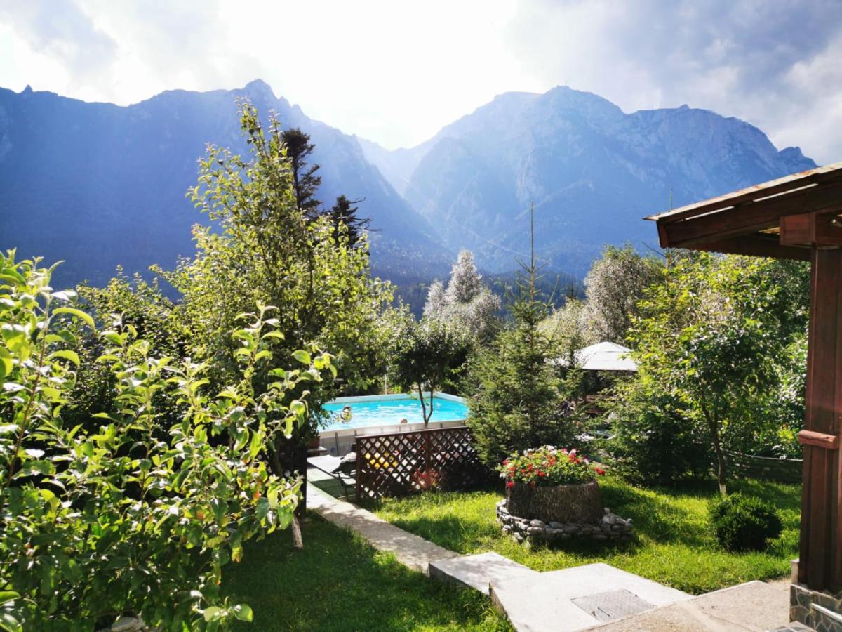 Vila Alunis Buşteni Exteriér fotografie
