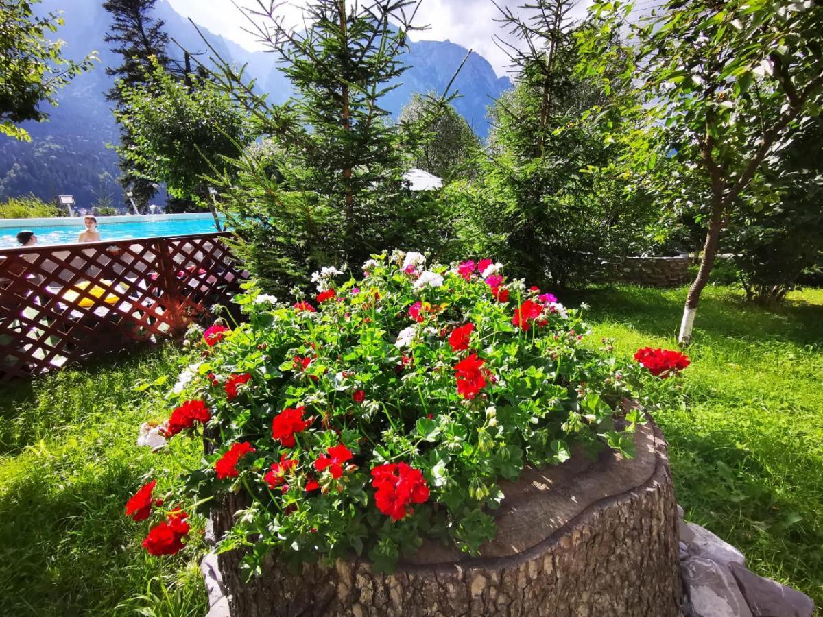 Vila Alunis Buşteni Exteriér fotografie