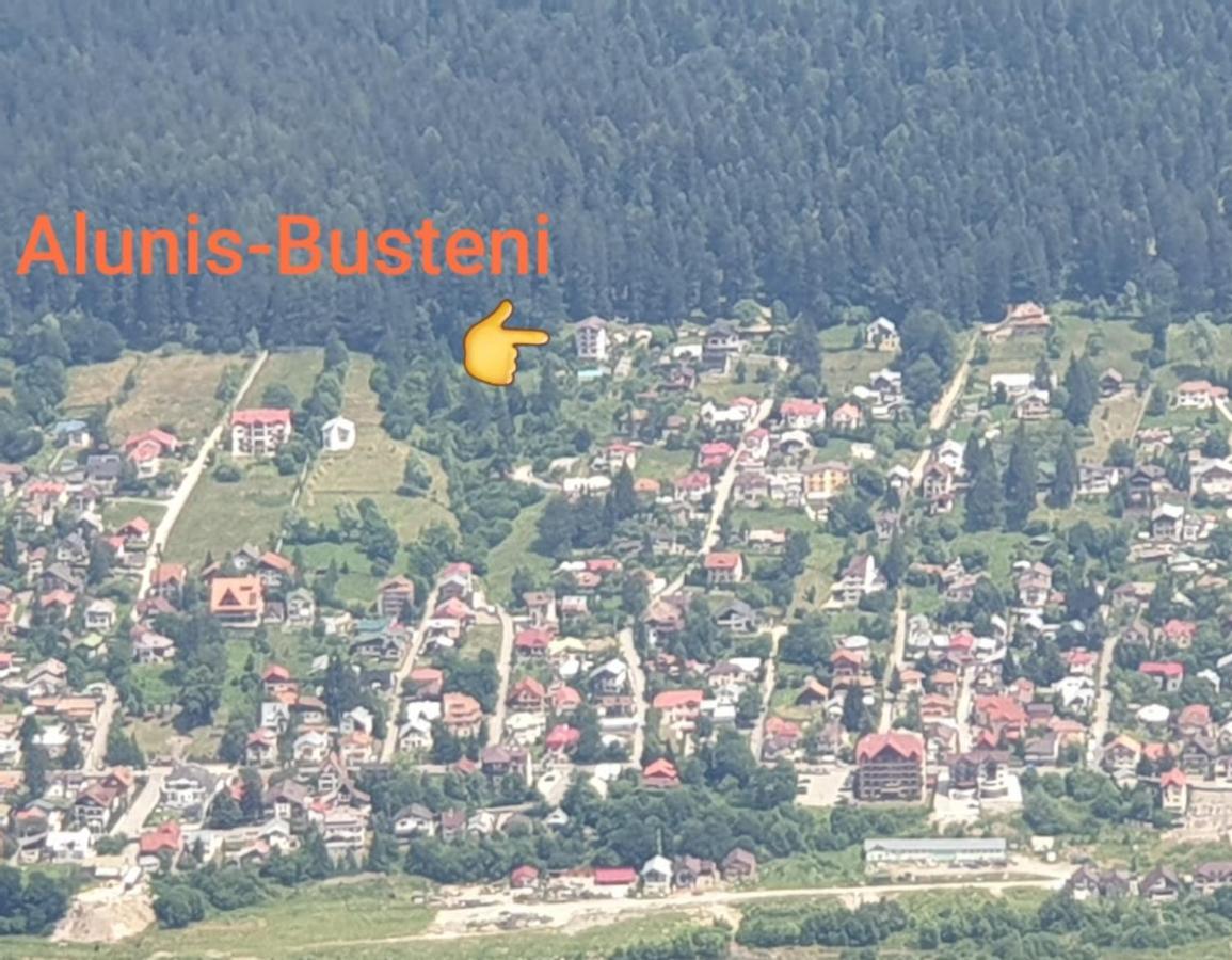 Vila Alunis Buşteni Exteriér fotografie