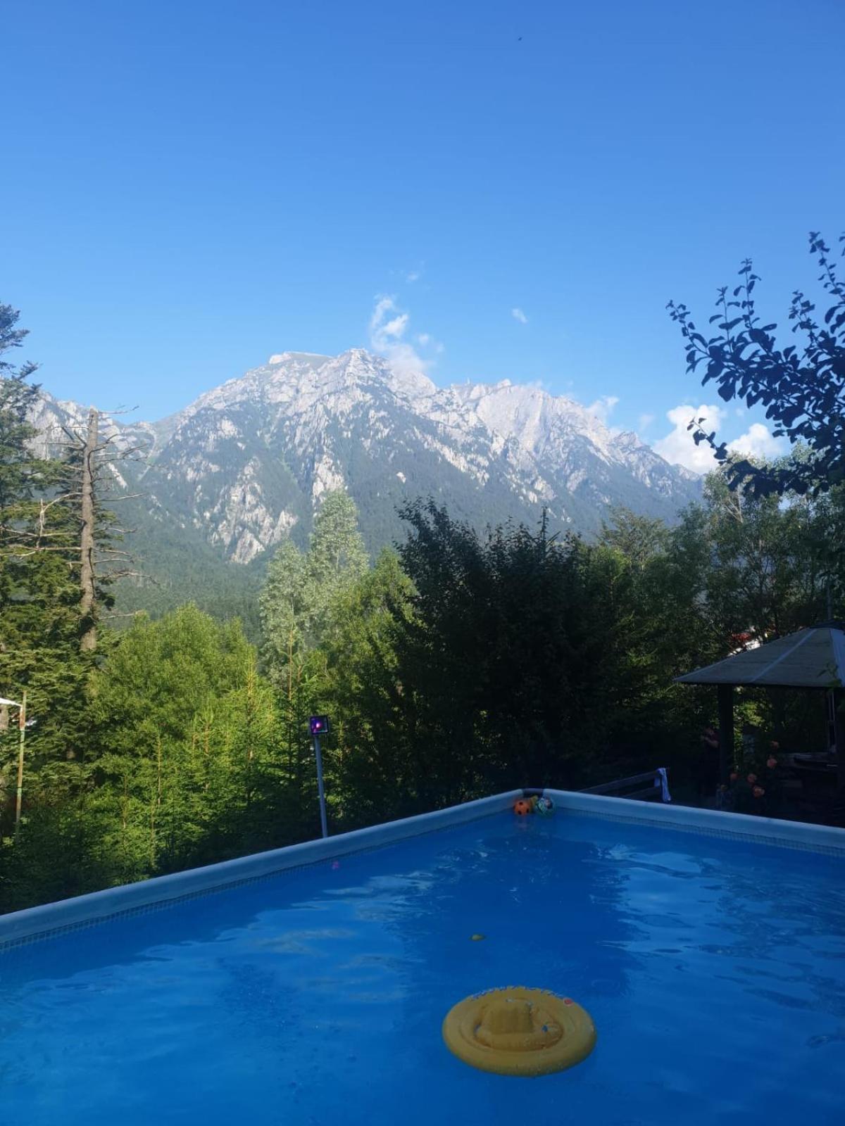 Vila Alunis Buşteni Exteriér fotografie