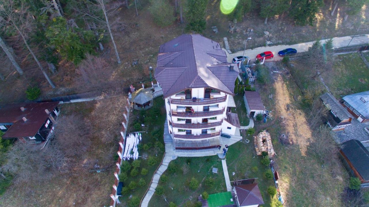 Vila Alunis Buşteni Exteriér fotografie