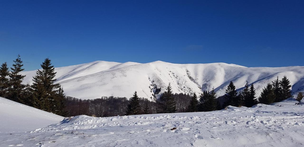 Vila Alunis Buşteni Exteriér fotografie