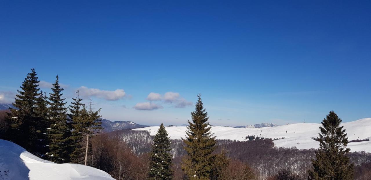 Vila Alunis Buşteni Exteriér fotografie