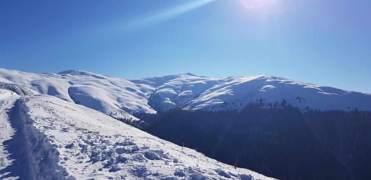 Vila Alunis Buşteni Exteriér fotografie