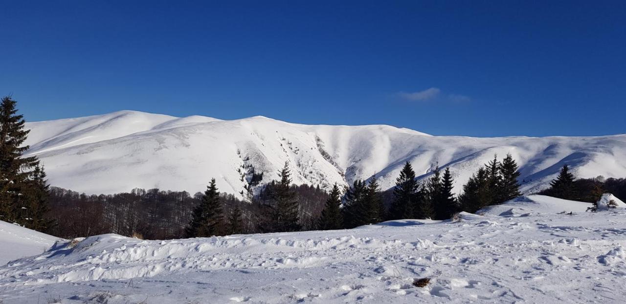 Vila Alunis Buşteni Exteriér fotografie