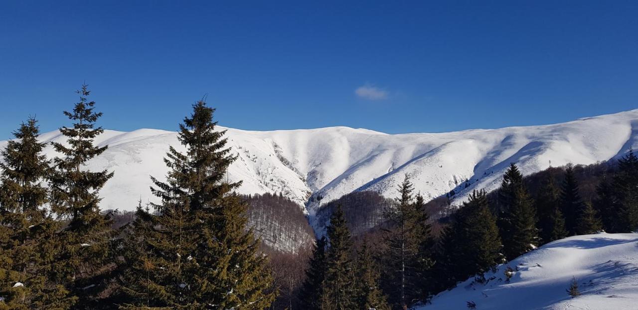 Vila Alunis Buşteni Exteriér fotografie