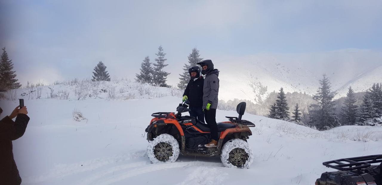 Vila Alunis Buşteni Exteriér fotografie