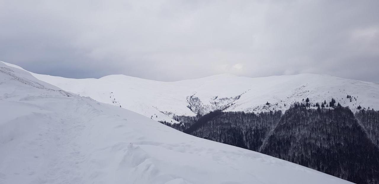 Vila Alunis Buşteni Exteriér fotografie