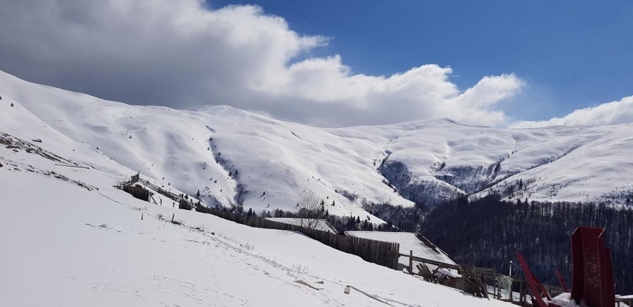 Vila Alunis Buşteni Exteriér fotografie