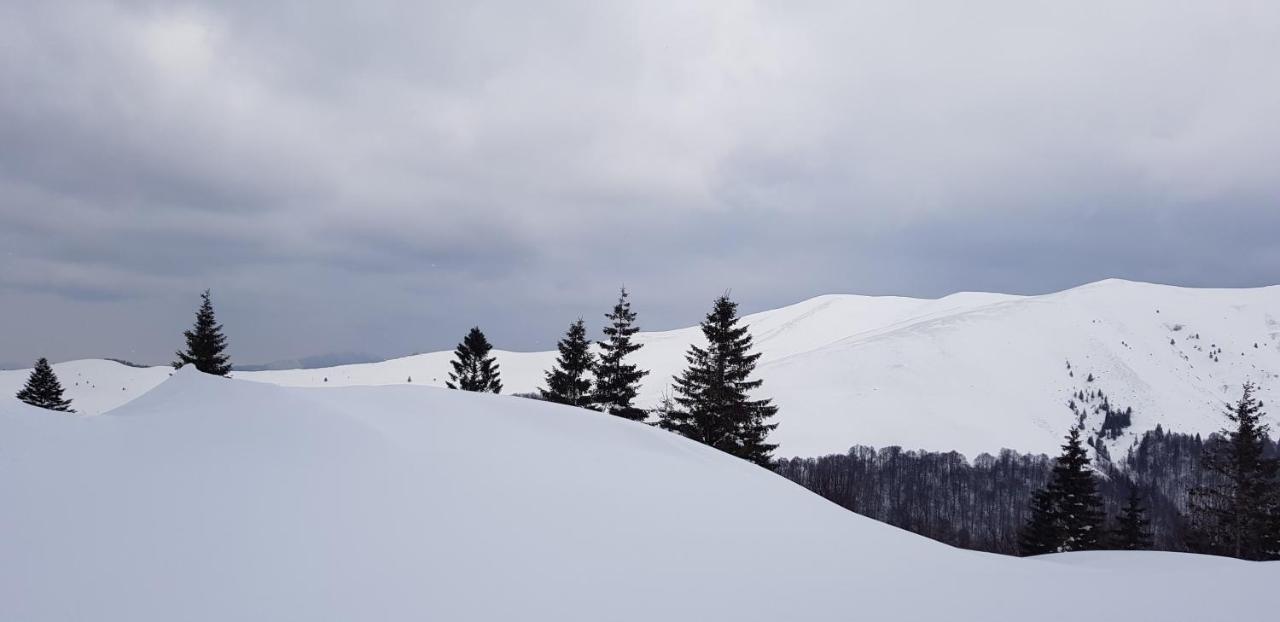 Vila Alunis Buşteni Exteriér fotografie