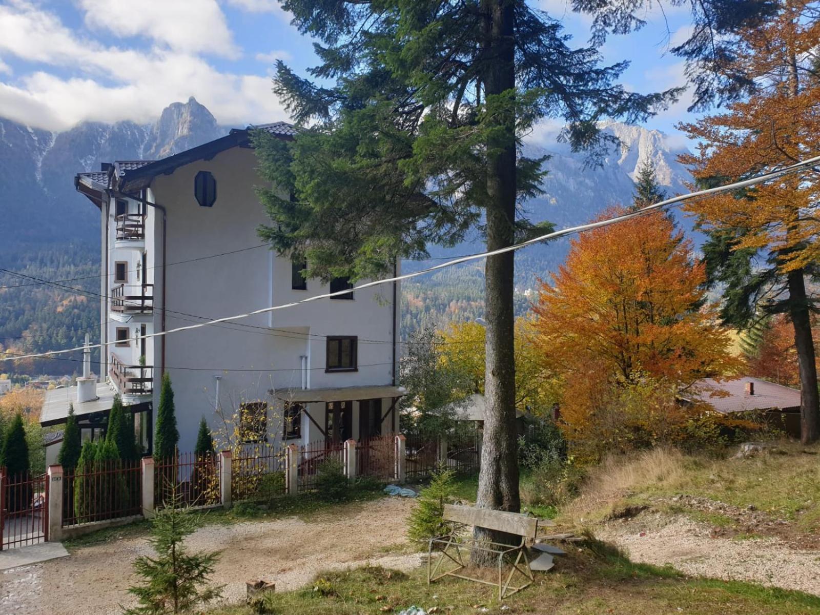 Vila Alunis Buşteni Pokoj fotografie