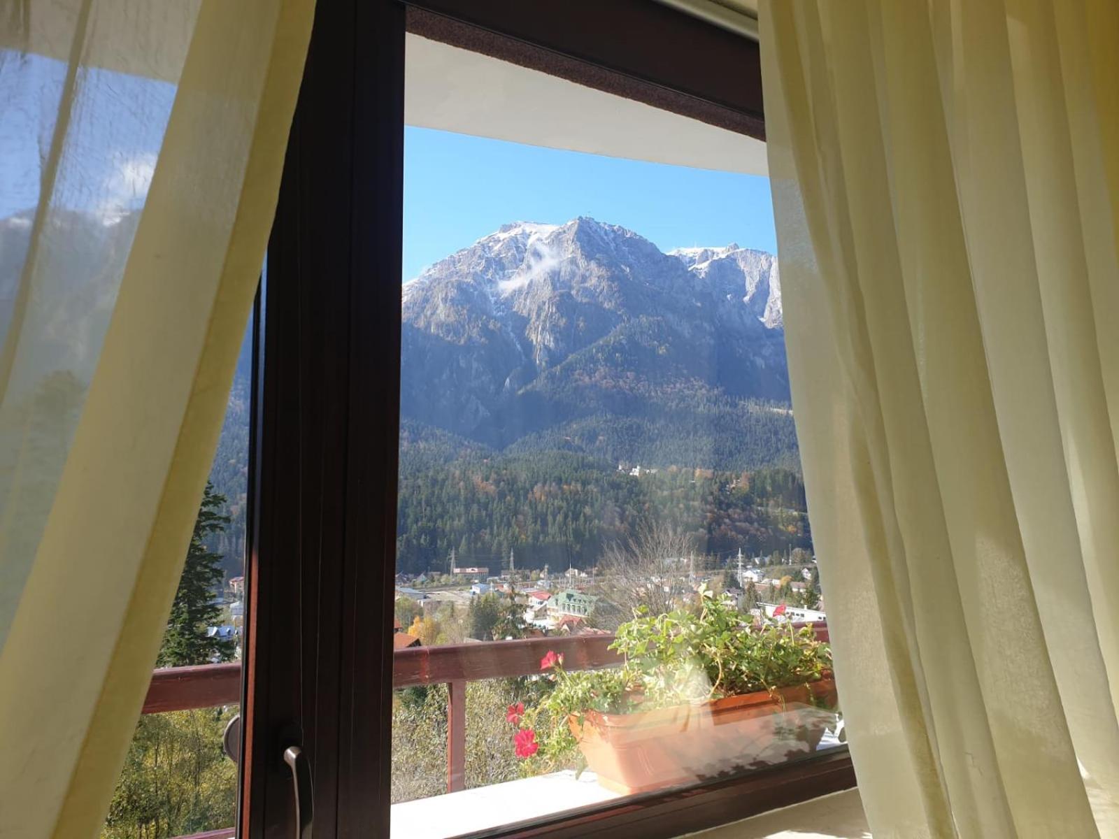 Vila Alunis Buşteni Exteriér fotografie
