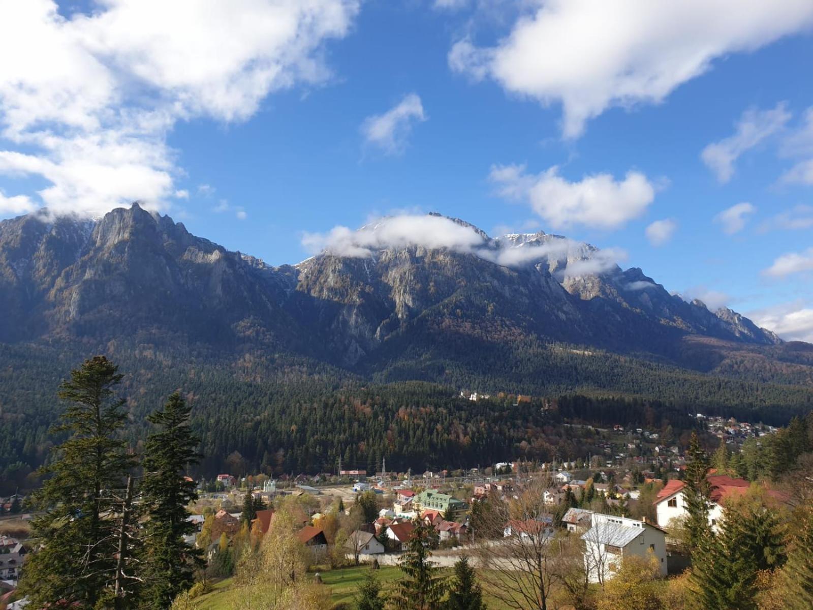 Vila Alunis Buşteni Exteriér fotografie