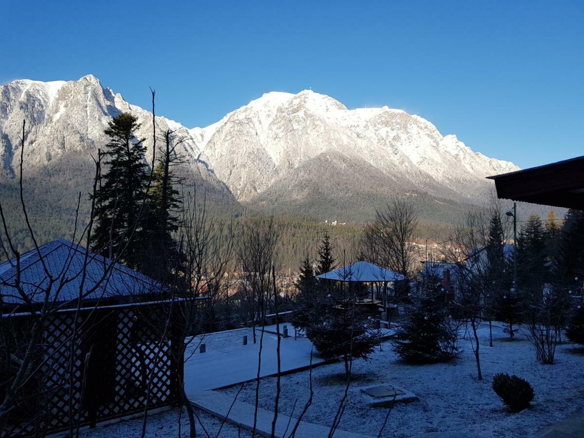 Vila Alunis Buşteni Exteriér fotografie
